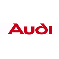 Tubi flessibili, tubi dell'impianto di aspirazione, tubi dell'intercooler per auto Audi.